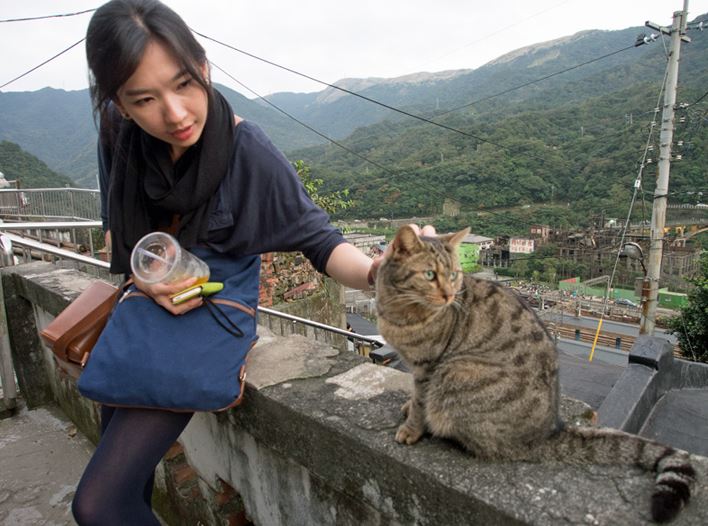photosofhoutongcatvillageintaiwan6 Reckon Talk