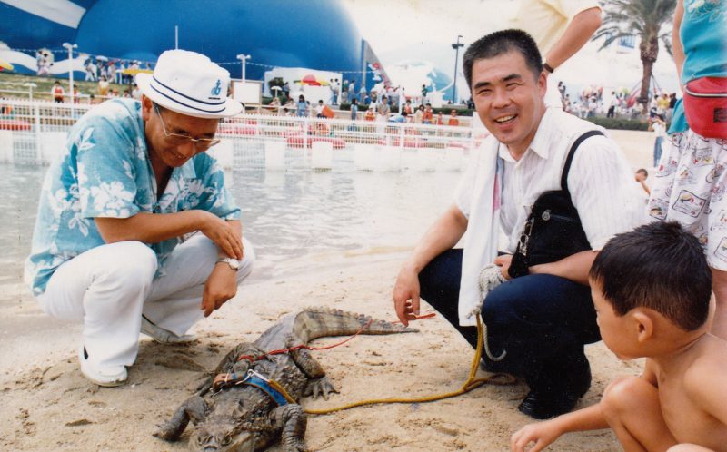 japan, japanese, bizarre, animal friendship, pet caiman, pet alligator, pet crocodiles, kure city, caiman facts, reptiles