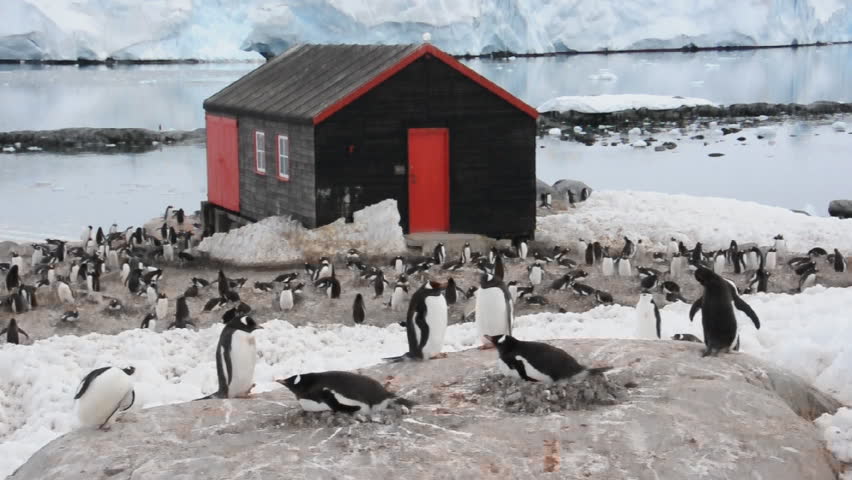 antarctica, south pole, north pole, south pole secrets, antarctica secrets, facts