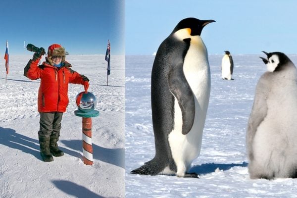 antarctica, south pole, north pole, south pole secrets, antarctica secrets, facts