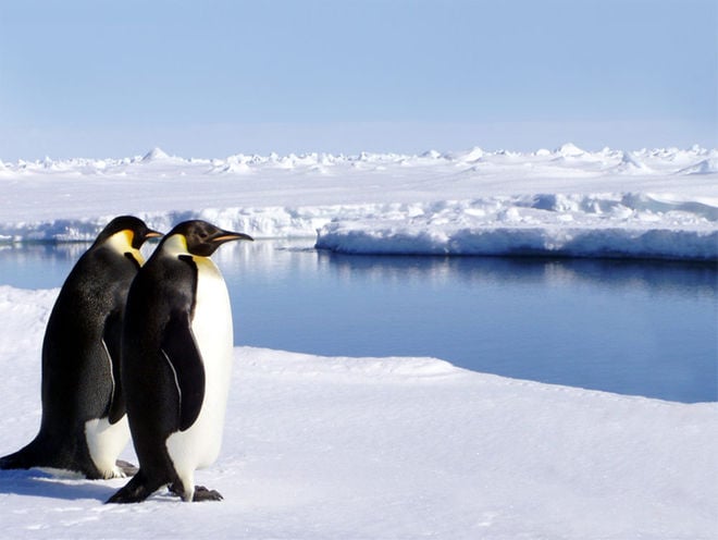 Antarctica, south pole, north pole, south pole secrets, antarctica secrets, facts