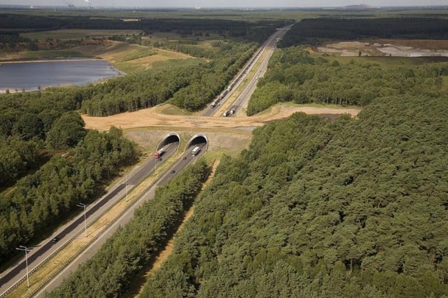 bridges, geography, animal crossings, netherlands bridges, netherlands, tunnels, wildlife, bridge for animals, amazing, interesting, europe, highway bridge