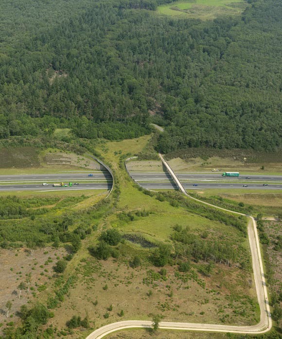 bridges, geography, animal crossings, netherlands bridges, netherlands, tunnels, wildlife, bridge for animals, amazing, interesting, europe, highway bridge