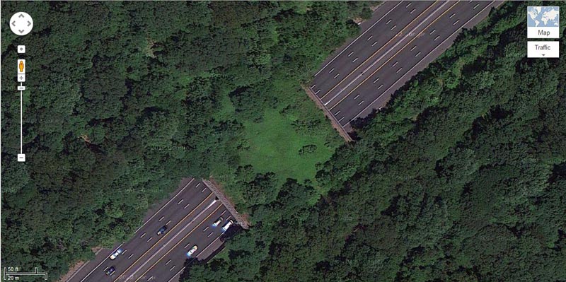 Bridges, geography, animal crossings, netherlands bridges, netherlands, tunnels, wildlife, bridge for animals, amazing, interesting, europe, highway bridge