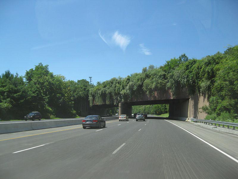 Bridges, geography, animal crossings, netherlands bridges, netherlands, tunnels, wildlife, bridge for animals, amazing, interesting, europe, highway bridge