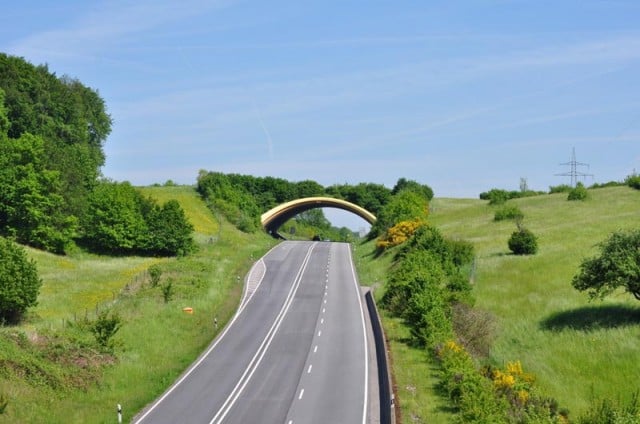 bridges, geography, animal crossings, netherlands bridges, netherlands, tunnels, wildlife, bridge for animals, amazing, interesting, europe, highway bridge