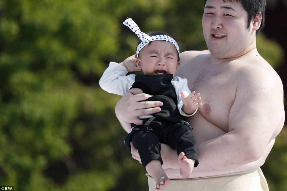 japanese festivals, japan, asia, tokyo, crying baby festival, weird, temple, nakizumo festival, worlds strangest festivals