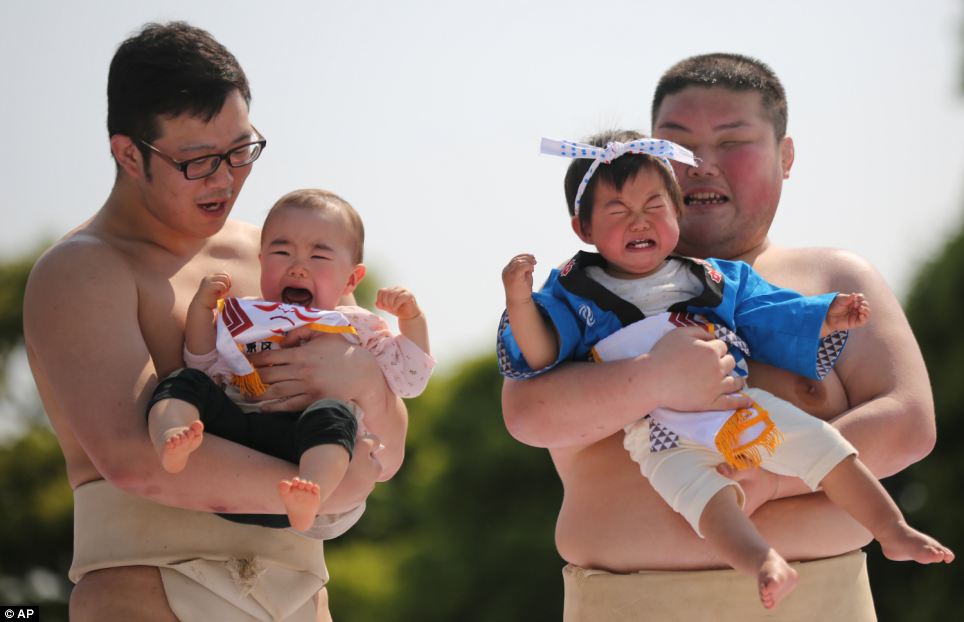 japanese festivals, japan, asia, tokyo, crying baby festival, weird, temple, nakizumo festival, worlds strangest festivals