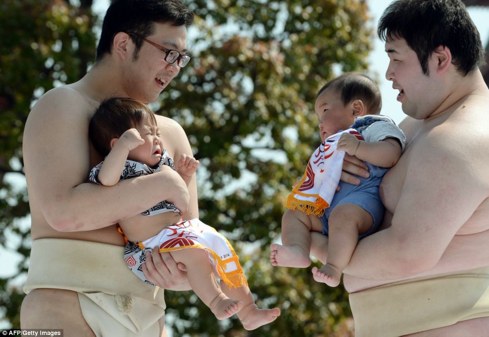 japanese festivals, japan, asia, tokyo, crying baby festival, weird, temple, nakizumo festival, worlds strangest festivals