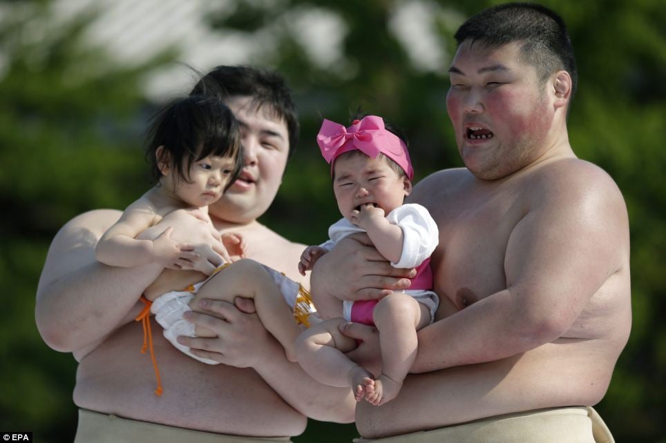 japanese festivals, japan, asia, tokyo, crying baby festival, weird, temple, nakizumo festival, worlds strangest festivals