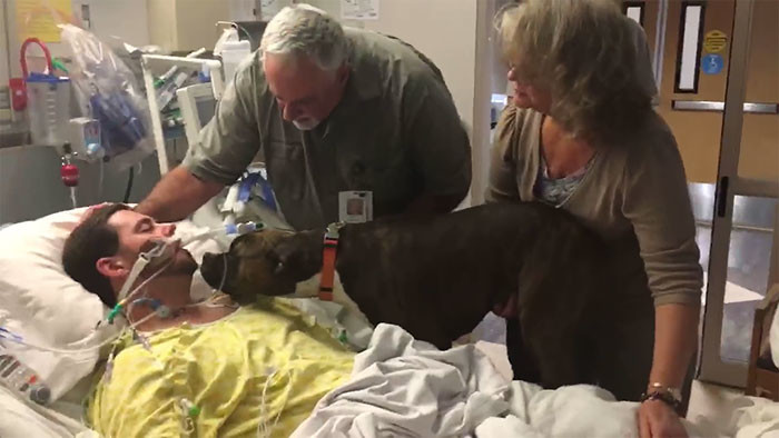 Dog, dog visit hospital, heartbreaking, usa, ryan jessen dog mollie, farewells, emotional video