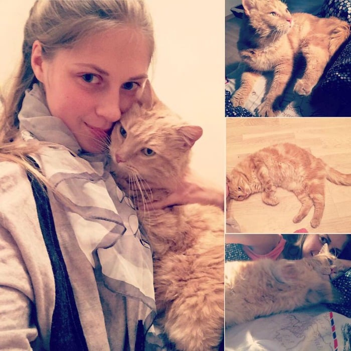 cat care community, zanda indriksone, latvia, europe, cat rescue, animal escue, before 7 after, kittens, before & after cat rescue, inspirational