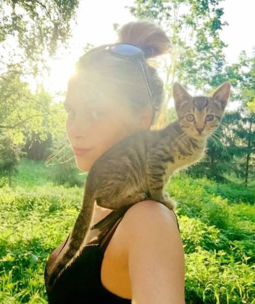 cat care community, zanda indriksone, latvia, europe, cat rescue, animal escue, before 7 after, kittens, before & after cat rescue, inspirational