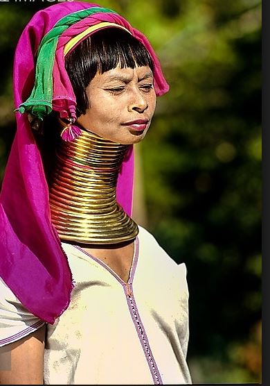 women with giraffe neck, thailand weired ritual, giraffe women, long neck women