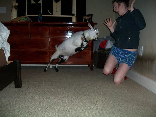 perfectly time photo, perfectly timed photos hot, perfectly timed photos of females, perfectly timed photos nsfw, picture taken at the right moment, funny, lol, photography, photographer, photobombs