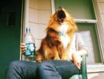 20 Perfectly Timed Photos –  Too Funny So Hot