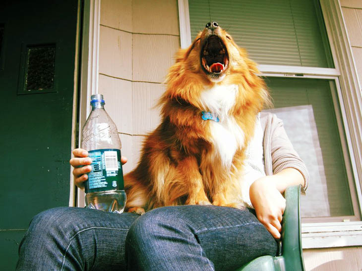 perfectly time photo, perfectly timed photos hot, perfectly timed photos of females, perfectly timed photos nsfw, picture taken at the right moment, funny, lol, photography, photographer, photobombs