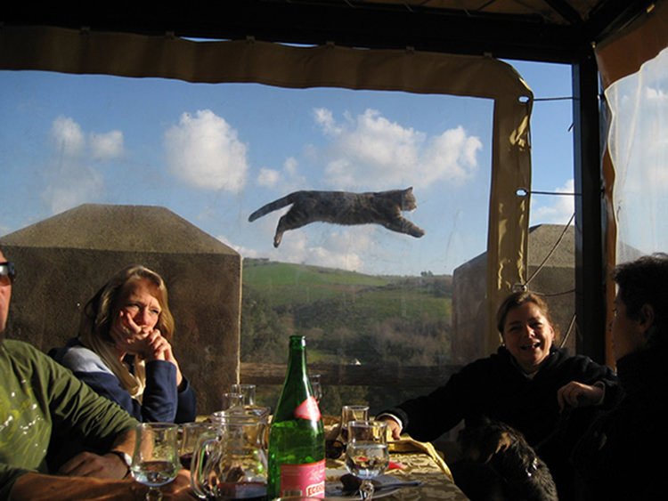 perfectly time photo, perfectly timed photos hot, perfectly timed photos of females, perfectly timed photos nsfw, picture taken at the right moment, funny, lol, photography, photographer, photobombs