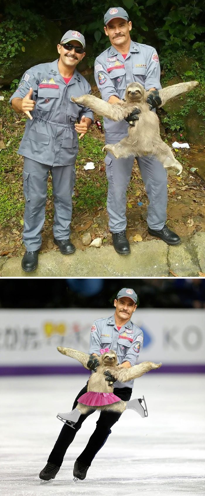 funny, cool, photo, photoshop, photoshop battles, animals, funny animals, viral, photobomb
