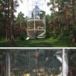 Tree in the House (Kazakhstan) 1