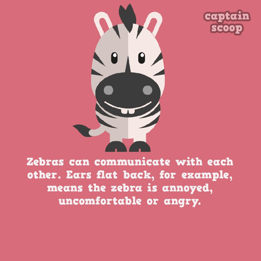 15 Amazing Facts You Never Know About Animals | Reckon Talk 15 Amazing Facts You Never Know About Animals | Reckon Talk
