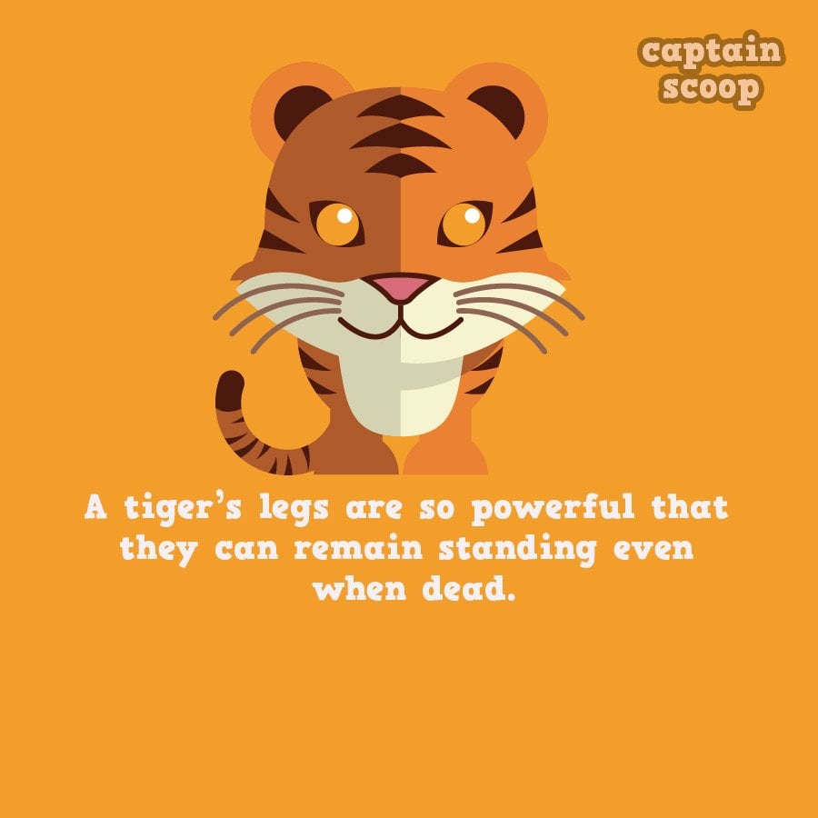 15 Amazing Facts You Never Know About Animals | Reckon Talk 15 Amazing Facts You Never Know About Animals | Reckon Talk