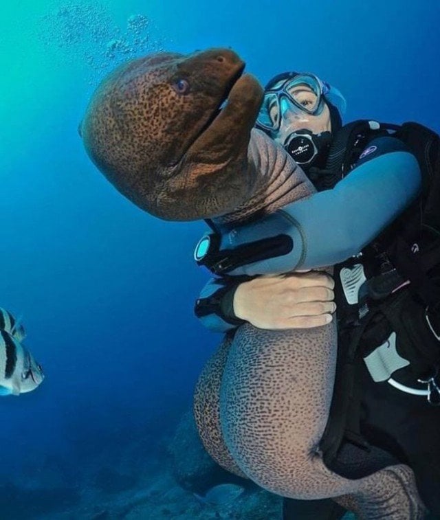 photos clicked at perfect time, perfectly timed photos funny, photography, creative, instagram, viral, best group photo, photo ideas, group photo ideas, funny photos