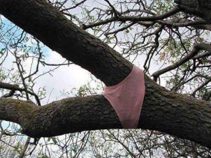 funny, wtf, wtf meme, america, wtf picture, funny animal, stupid photos, stupid jokes, stupid people, stupid memes, hilarious, funny meme, funny pictures