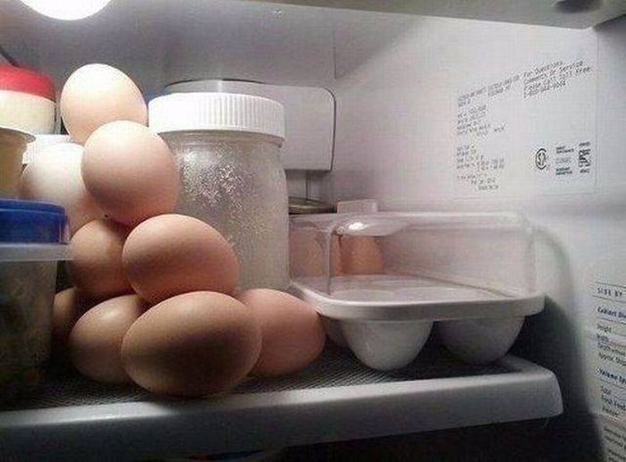 funny, wtf, wtf meme, america, wtf picture, funny animal, stupid photos, stupid jokes, stupid people, stupid memes, hilarious, funny meme, funny pictures