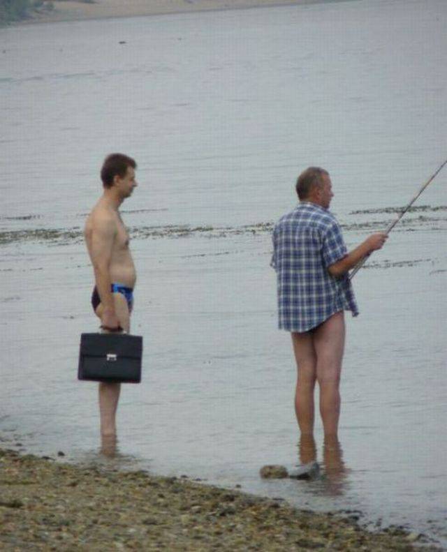 funny, wtf, wtf meme, america, wtf picture, funny animal, stupid photos, stupid jokes, stupid people, stupid memes, hilarious, funny meme, funny pictures