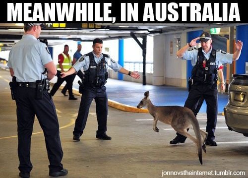 funny, lol, australia police kangaroo, crazy, meanwhile in australia, weird australian, only in australia, memes australia, culture, stupid australia, facts australia