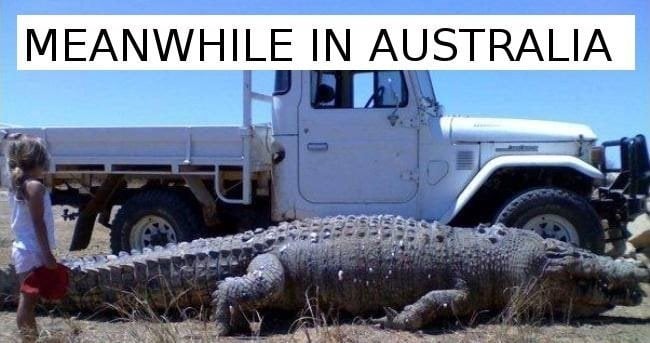 Funny, lol, australia, crazy, meanwhile in australia, weird australian, only in australia, memes australia, culture, stupid australia, australia crocodile