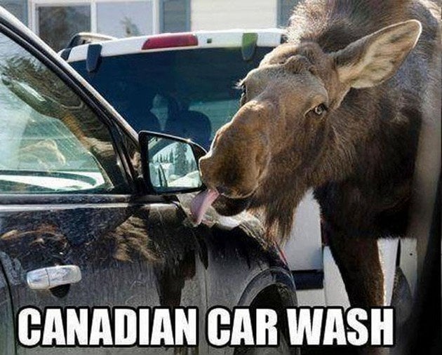 25 Funny Crazy Meme Pictures Meanwhile In Canada | Reckon Talk