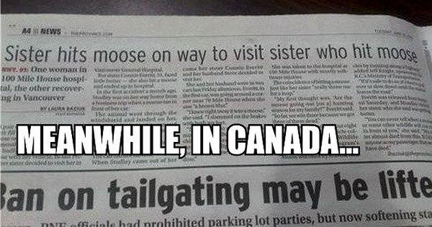 funny, lol, canada, crazy, meanwhile in canada, weird canadian, only in canada, memes canada, culture, stupid canada, facts canada, funny pictures, funny meme, nice canadian meme, canadian girls, ice hocky