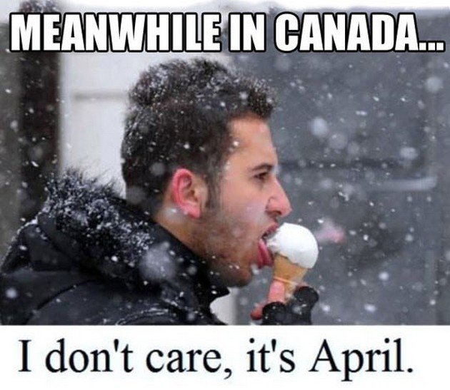 funny, lol, canada, crazy, meanwhile in canada, weird canadian, only in canada, memes canada, culture, stupid canada, facts canada, funny pictures, funny meme, nice canadian meme, canadian girls, ice hocky