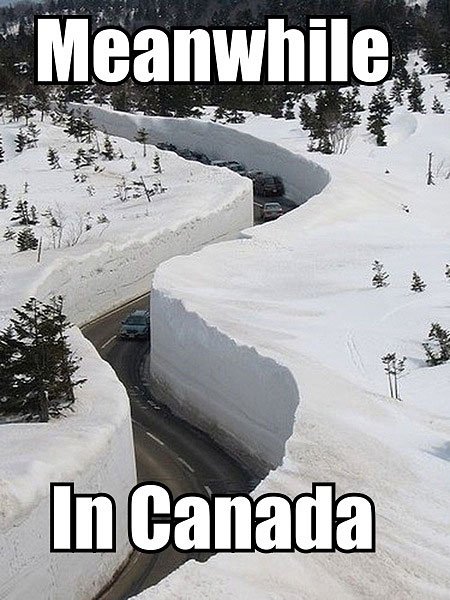 funny, lol, canada, crazy, meanwhile in canada, weird canadian, only in canada, memes canada, culture, stupid canada, facts canada, funny pictures, funny meme, nice canadian meme, canadian girls, ice hocky