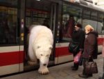 20 Funny Crazy Meme Pictures Meanwhile In Russia