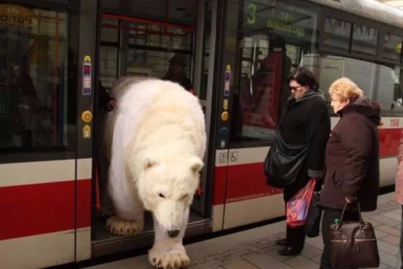 meanwhile in russia compilation, meanwhile in russia snow, meanwhile in russia 3, meanwhile in russia song, meanwhile in russia youtube, meanwhile in russia pictures, meanwhile in russia winter, meanwhile in russia twitter