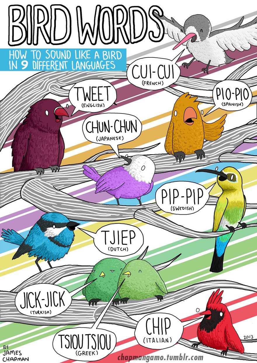 Why do animal sounds different in different languages? | Reckon Talk Why do animal sounds different in different languages? | Reckon Talk