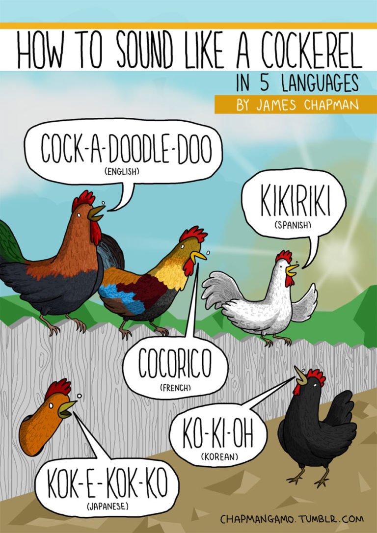 Why do animal sounds different in different languages? Reckon Talk