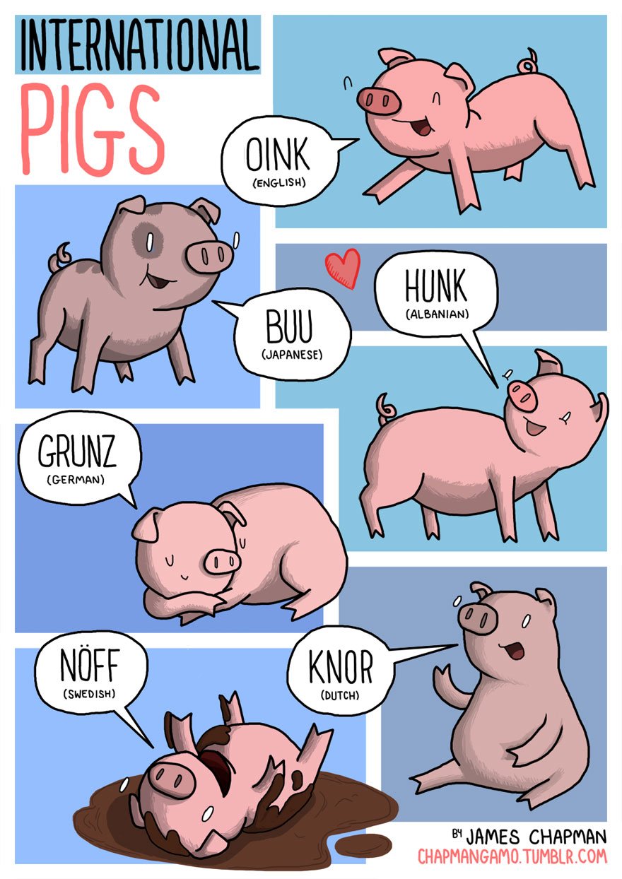 Why do animal sounds different in different languages? | Reckon Talk Why do animal sounds different in different languages? | Reckon Talk