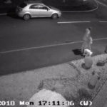 dumped dog tried to get back to owners car 2
