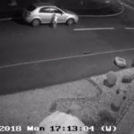 dumped dog tried to get back to owners car 3