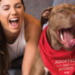 alex morgan with dog