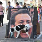 perfectly time hilarious photos