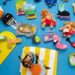 dogs day celebration ideas-2