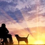 ways-to-celebrate-dogs-day