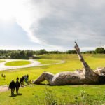 wooden trolls sculptures thomas dambo 19