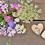 weed killer for garden