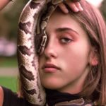 python exotic animal